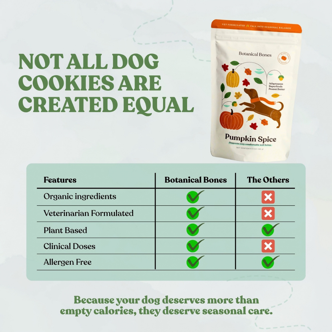 Botanical Bones Pumpkin Spice Dog Treats | Organic Fiber + Fall Comfort