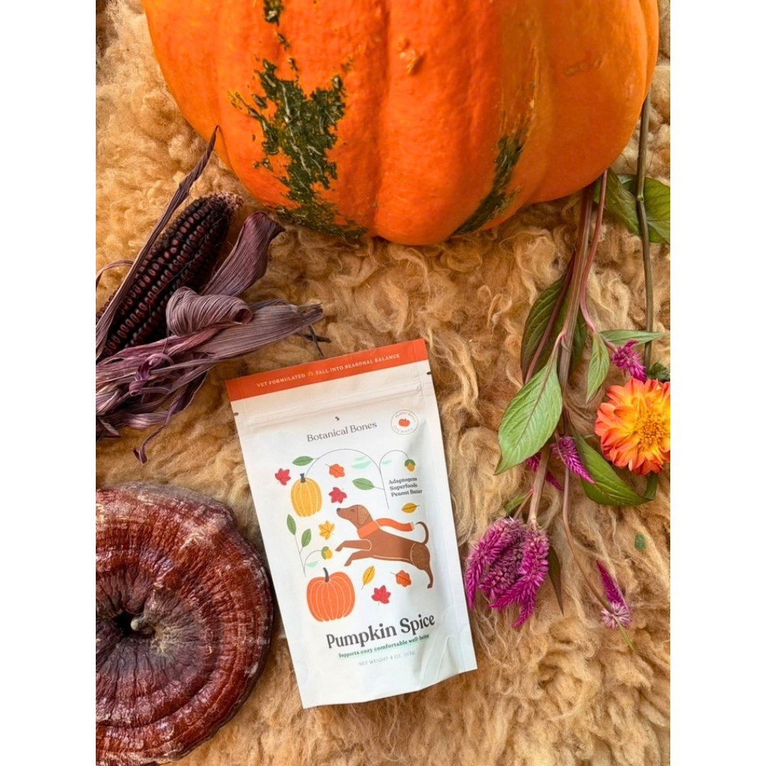 Botanical Bones Pumpkin Spice Dog Treats | Organic Fiber + Fall Comfort