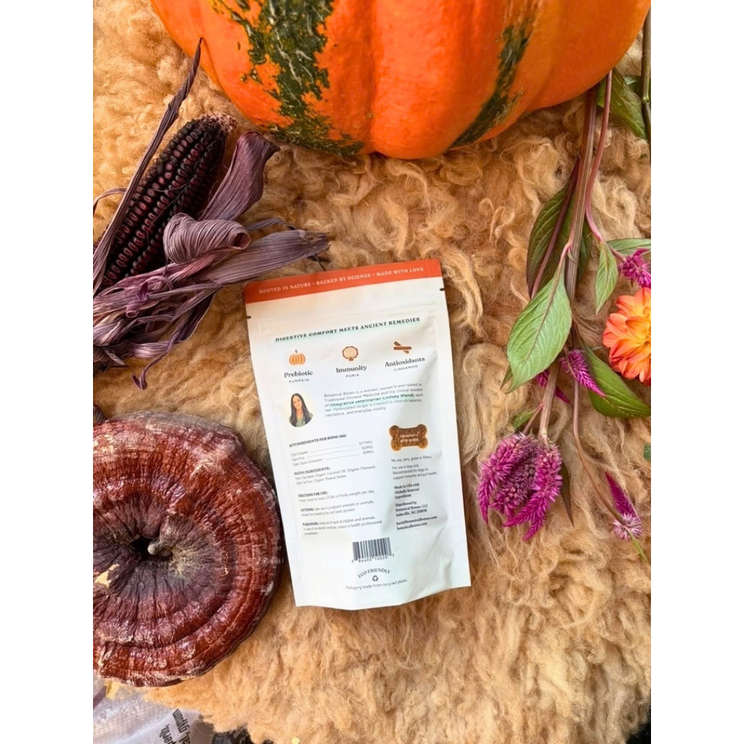 Botanical Bones Pumpkin Spice Dog Treats | Organic Fiber + Fall Comfort