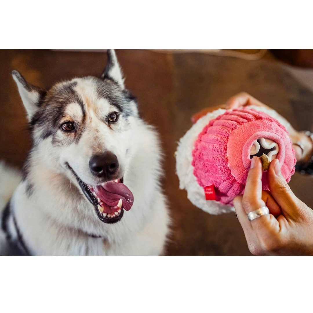 Sugar Rush Cupcake | Non-Toxic Treat Dispensing Plush