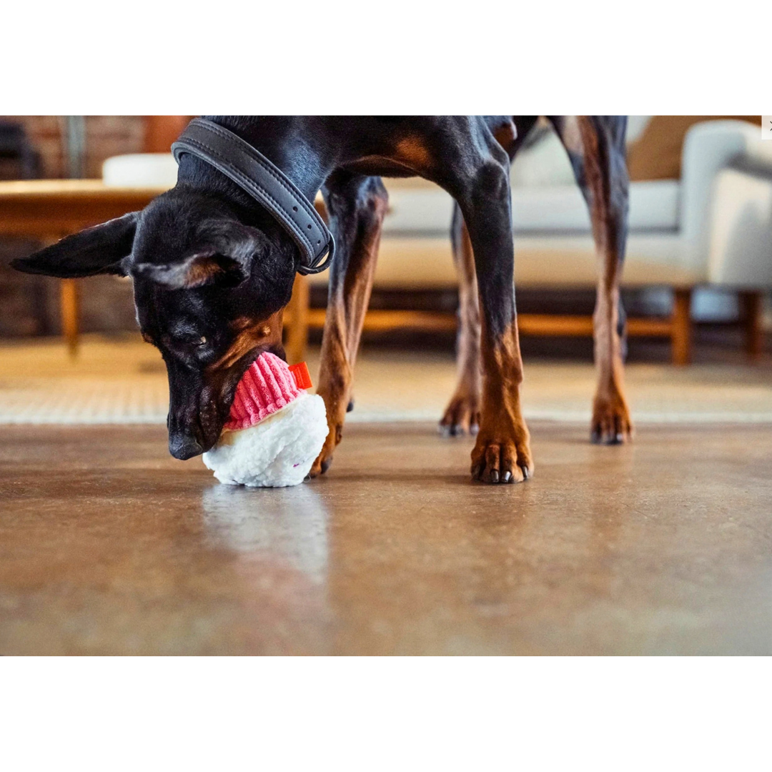 Sugar Rush Cupcake | Non-Toxic Treat Dispensing Plush