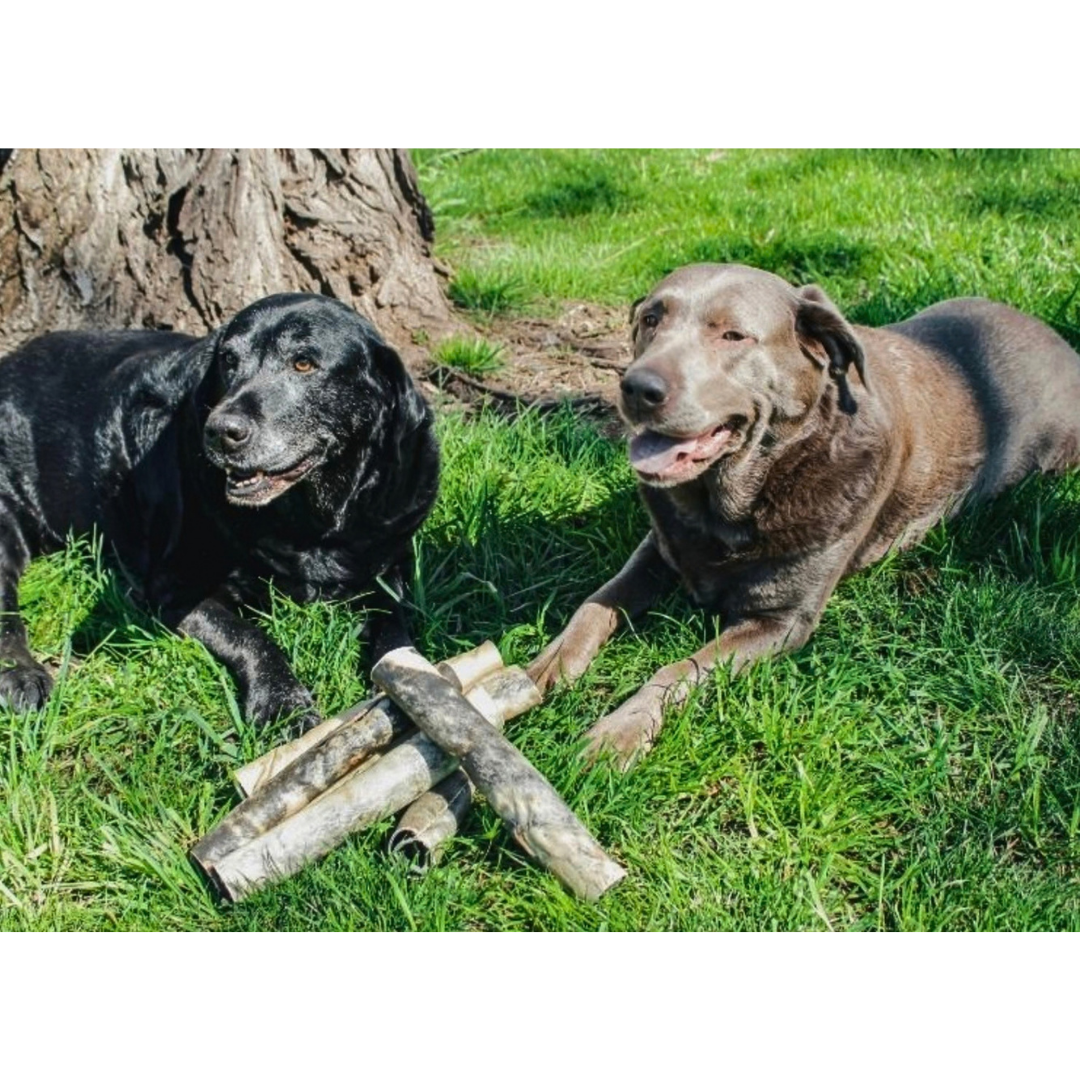 Range Boss 9 Inch Beef Hide Chew | Natural Chemical-Free Rawhide Alternative