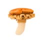 Fun-Guy Mushroom