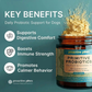 ProActive Paws Primitive Probiotics | Canine-Specific Multi-Strain Gut Health