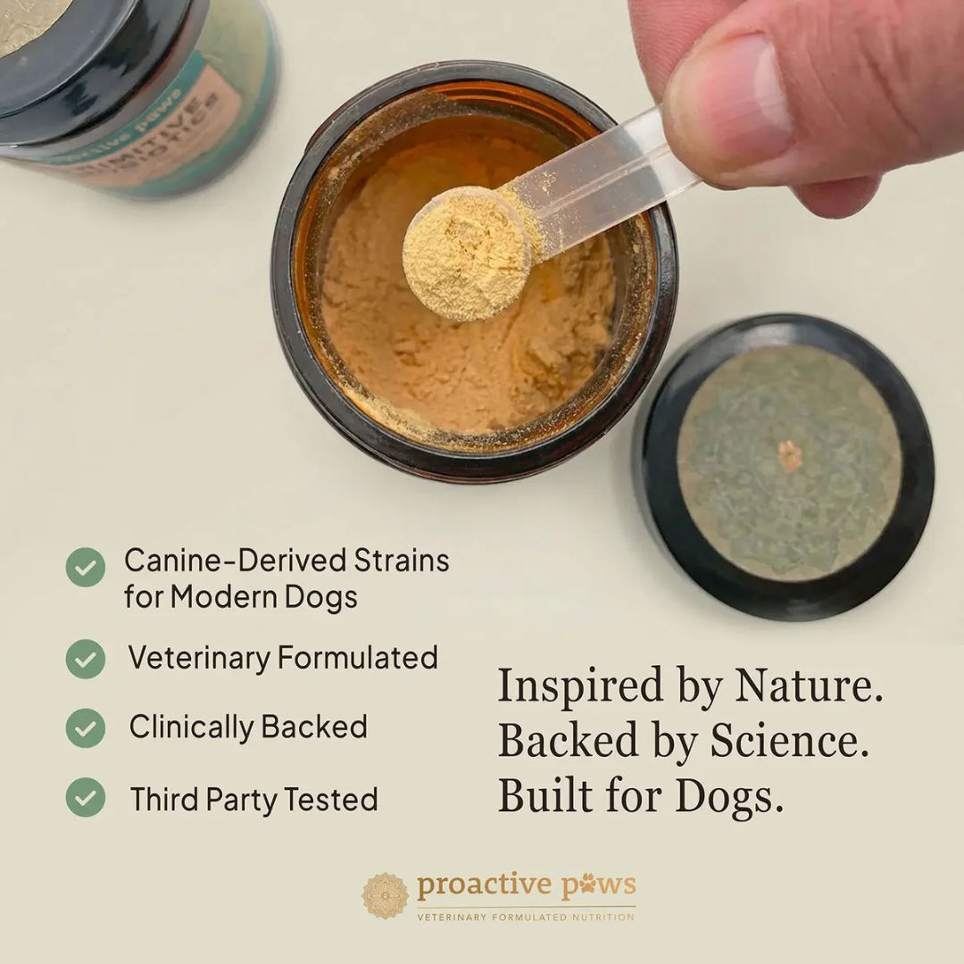 Proactive Paws Primitive Probiotics | Wolf-Derived + Species-Specific Probiotic