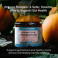 ProActive Paws Primitive Probiotics | Canine-Specific Multi-Strain Gut Health