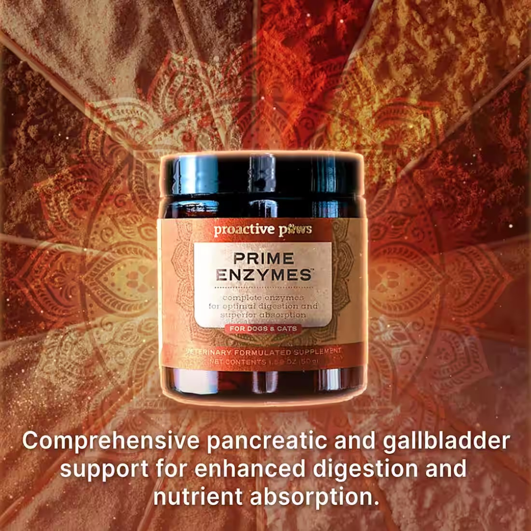 Proactive Paws Prime Enzymes | Natural Full-Spectrum Digestive Enzymes by Dr. Karen Becker