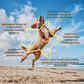 Dogs Love Peanut Butter | Natural Organic Superfood Peanut Butter