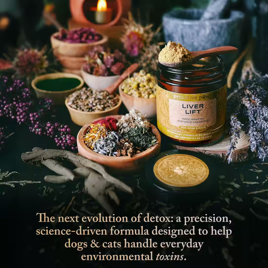 ProActive Paws Liver Lift | Natural Daily Liver Detox