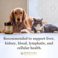 ProActive Paws Liver Lift | Natural Daily Liver Detox