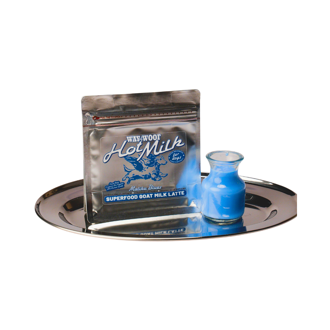 Malibu Blues Hot Milk | Natural Goat Milk + Organic Blue Spirulina Superfood Topper