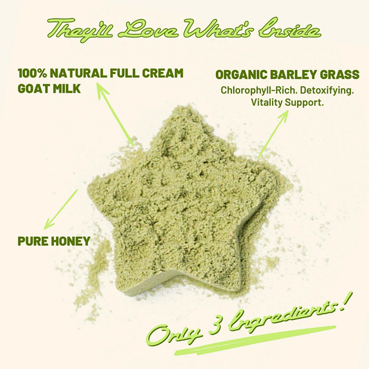 Muttcha Cloud Hot Milk | Natural Goat Milk + Greens Superfood Topper