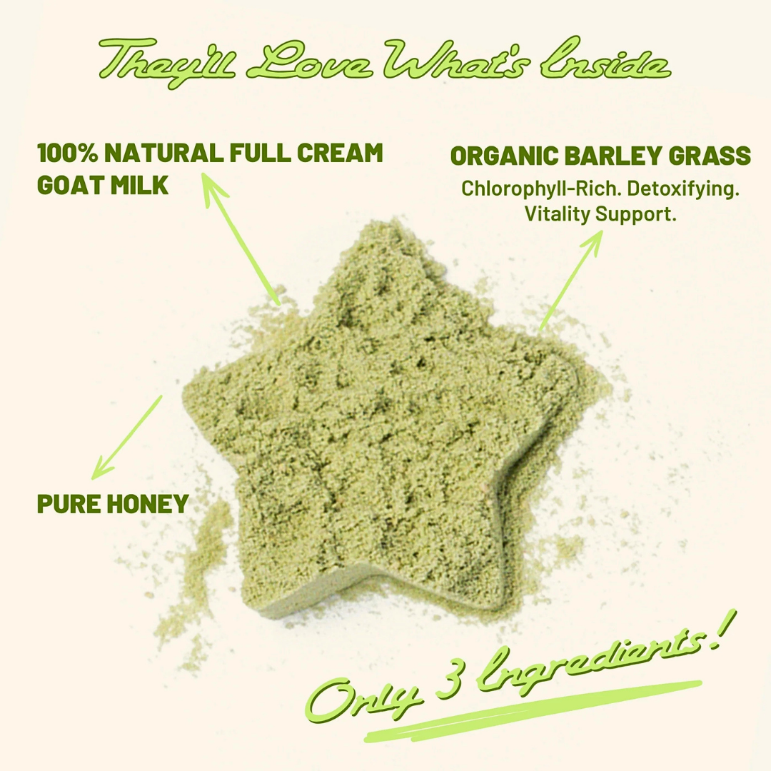 Muttcha Cloud Hot Milk | Natural Goat Milk + Greens Superfood Topper