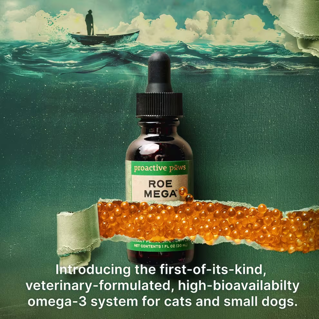 ProActive Paws Roe Mega DHA EPA | Phospholipid Omega-3 with Caviar Oil for Small Dogs