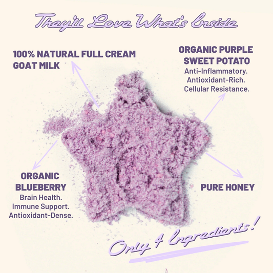 Ube Berry Bliss Hot Milk | Natural Goat Milk + Blueberry Superfood Topper