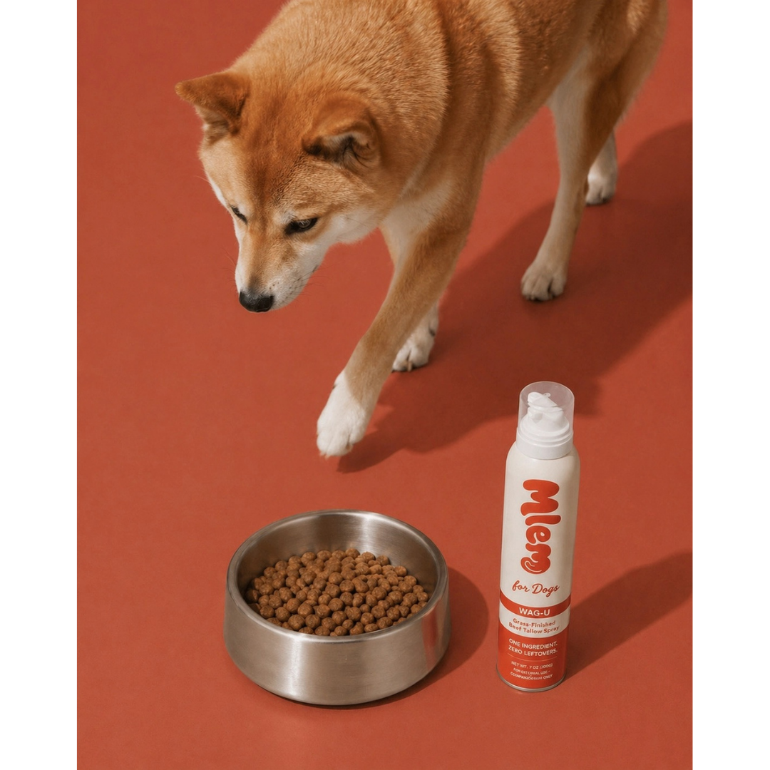 Wag-U Beef Tallow Topper Spray | Natural Grass-Finished Beef Tallow