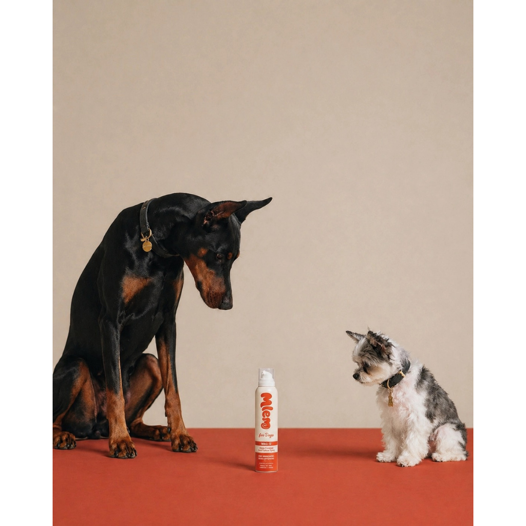 Wag-U Beef Tallow Topper Spray | Natural Grass-Finished Beef Tallow