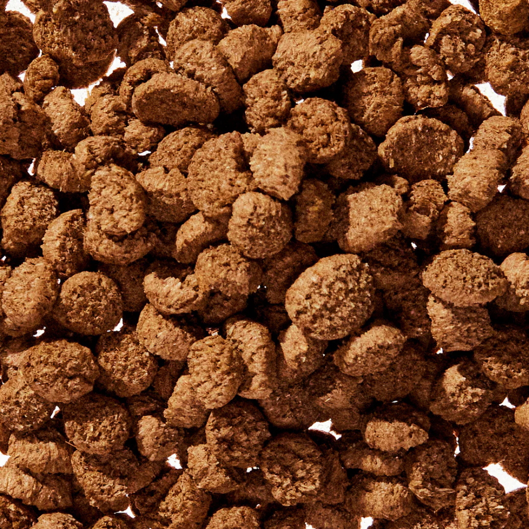WonderGland | Natural Anal Gland Fiber Support for Dogs