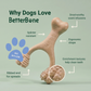 Small | Natural Plant-Based Splinter-Resistant Chew