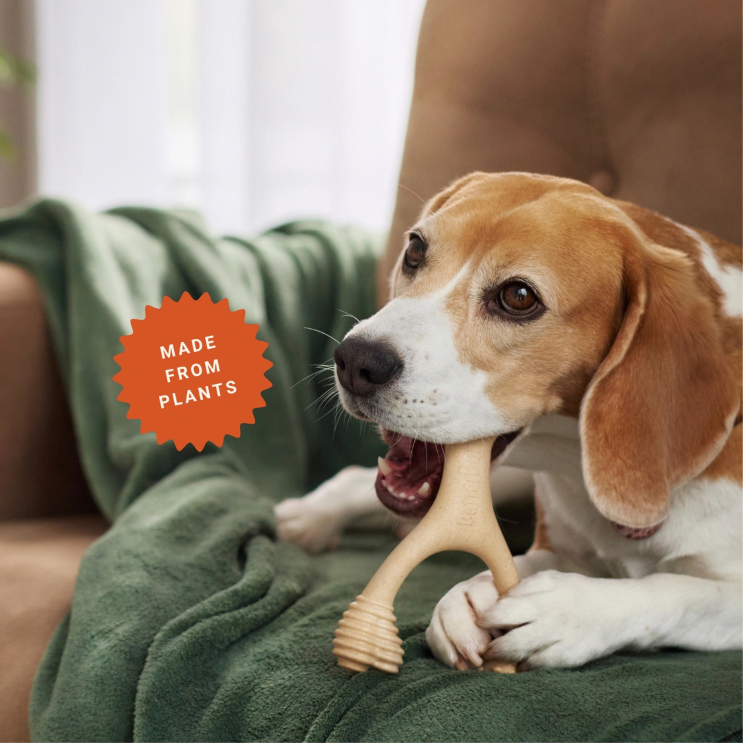 Small | Natural Plant-Based Splinter-Resistant Chew
