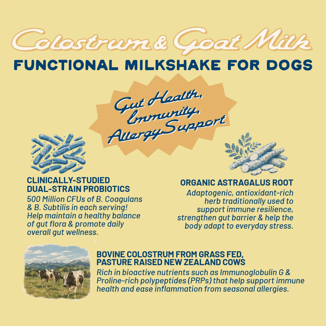 Colostrum + Goat Milk | Natural Gut + Immune Support Topper
