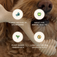 Small | Natural Plant-Based Splinter-Resistant Chew