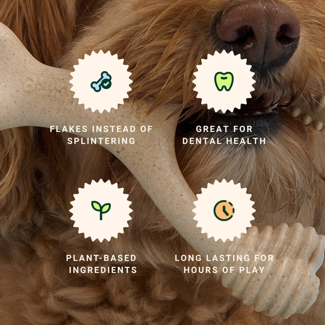 Small | Natural Plant-Based Splinter-Resistant Chew