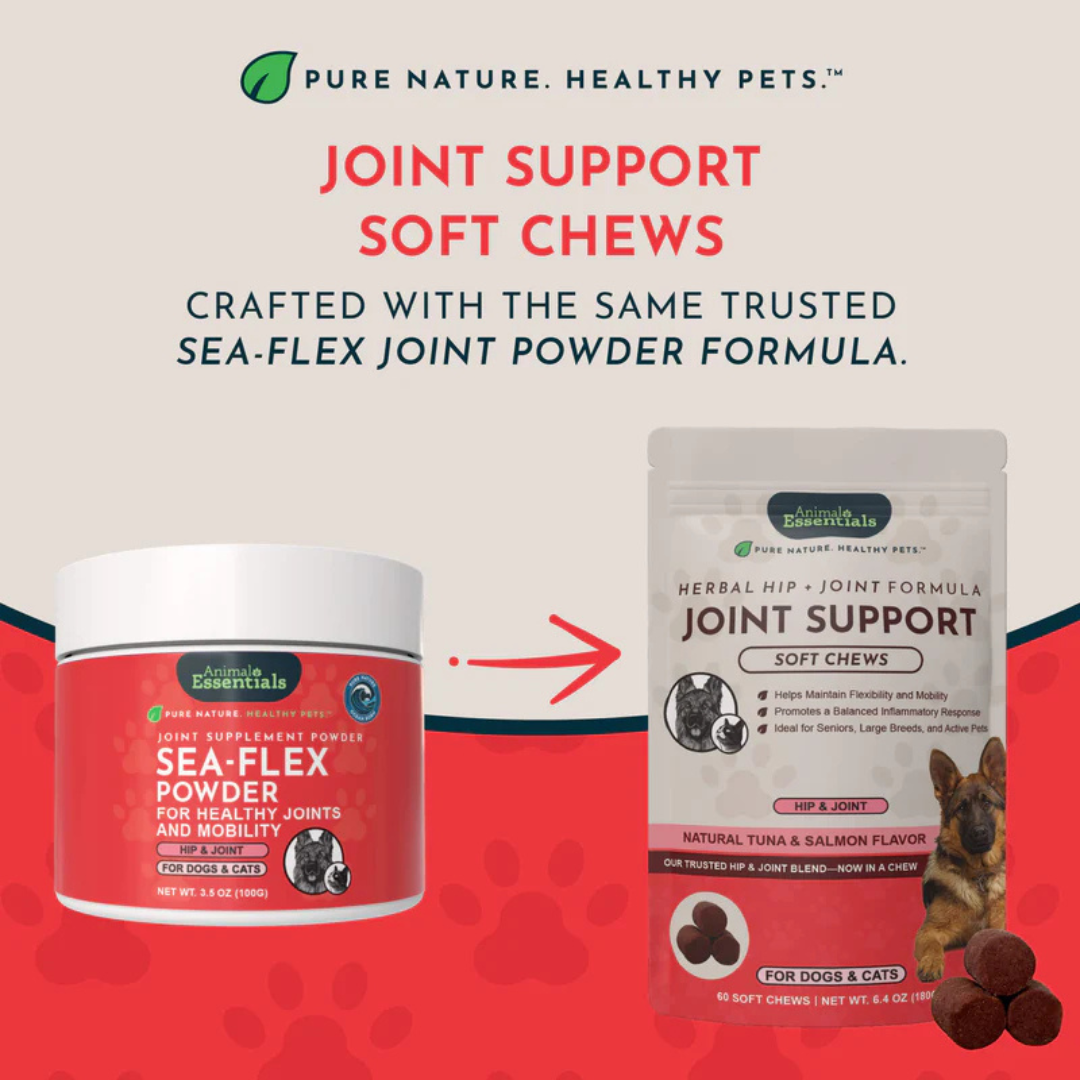 Animal Essentials Joint Support Soft Chews | Natural Herbal Green-Lipped Mussel Hip + Joint Support