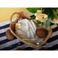 Grow Natural Air Freshener | Coconut Soleil