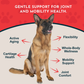 Animal Essentials Joint Support Soft Chews | Natural Herbal Green-Lipped Mussel Hip + Joint Support