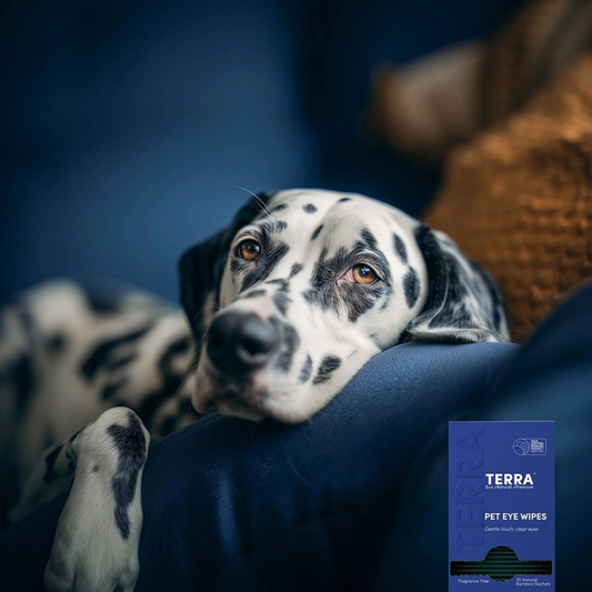 Terra Natural Eye Wipes