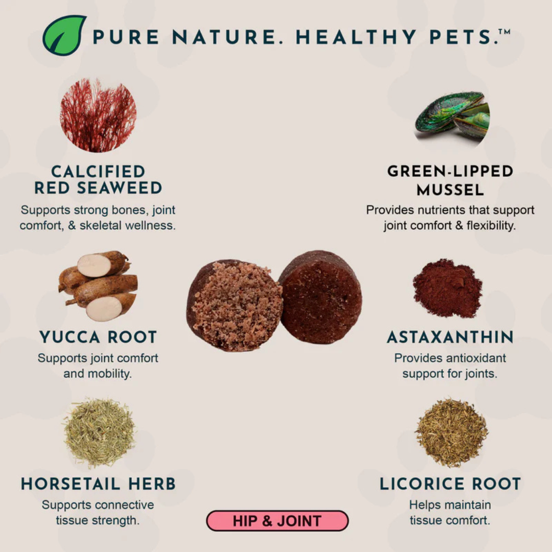 Animal Essentials Joint Support Soft Chews | Natural Herbal Green-Lipped Mussel Hip + Joint Support