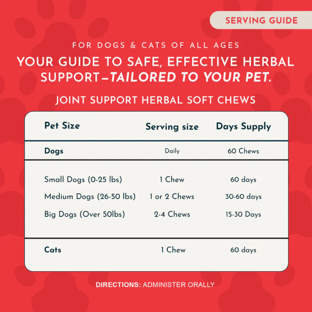 Animal Essentials Joint Support Soft Chews | Natural Herbal Green-Lipped Mussel Hip + Joint Support