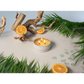 Grow Natural Candle | Coastal Tide