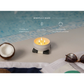 Grow Natural Candle | Coastal Tide