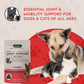 Animal Essentials Joint Support Soft Chews | Natural Herbal Green-Lipped Mussel Hip + Joint Support