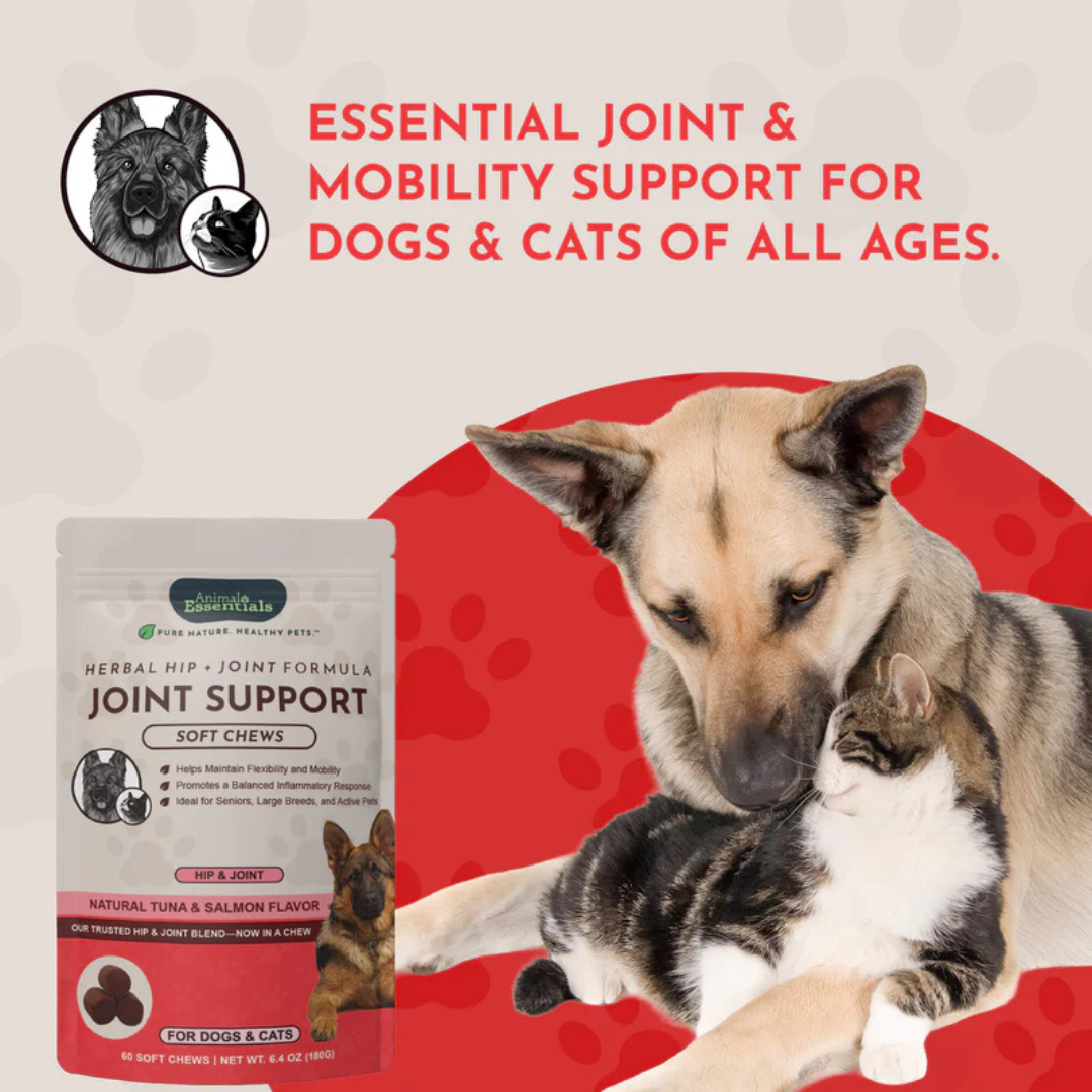 Animal Essentials Joint Support Soft Chews | Natural Herbal Green-Lipped Mussel Hip + Joint Support