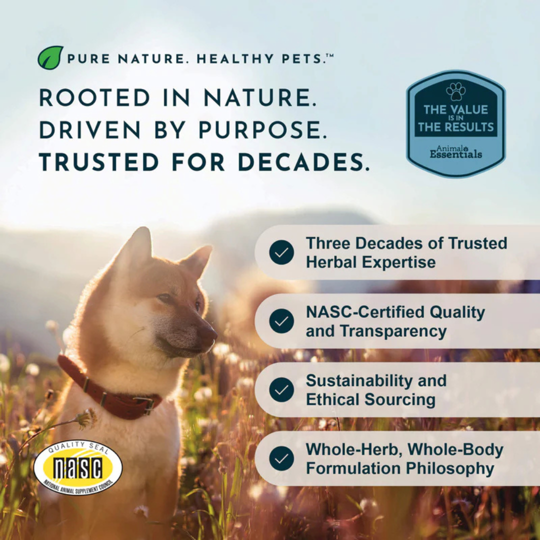Animal Essentials Joint Support Soft Chews | Natural Herbal Green-Lipped Mussel Hip + Joint Support