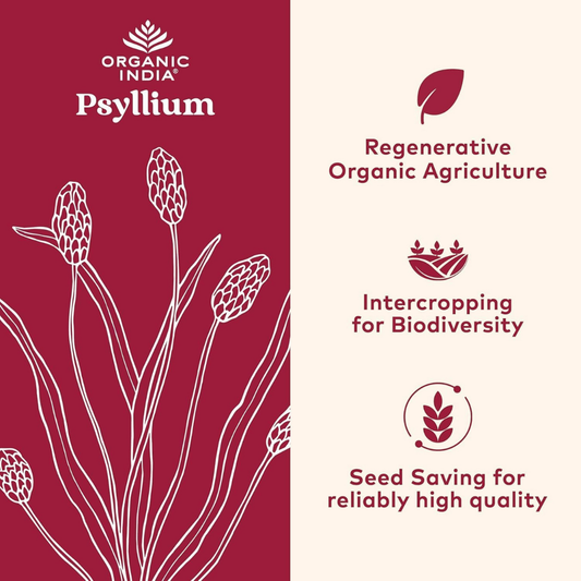 Organic India Psyllium Fiber Powder
