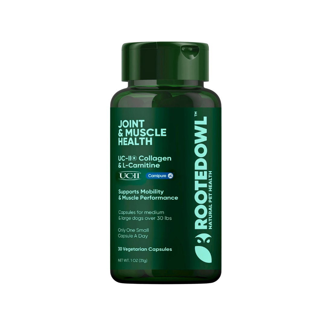Rooted Owl Joint & Muscle Health | Natural UC-II Collagen