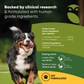 Rooted Owl Joint & Muscle Health | Natural UC-II Collagen
