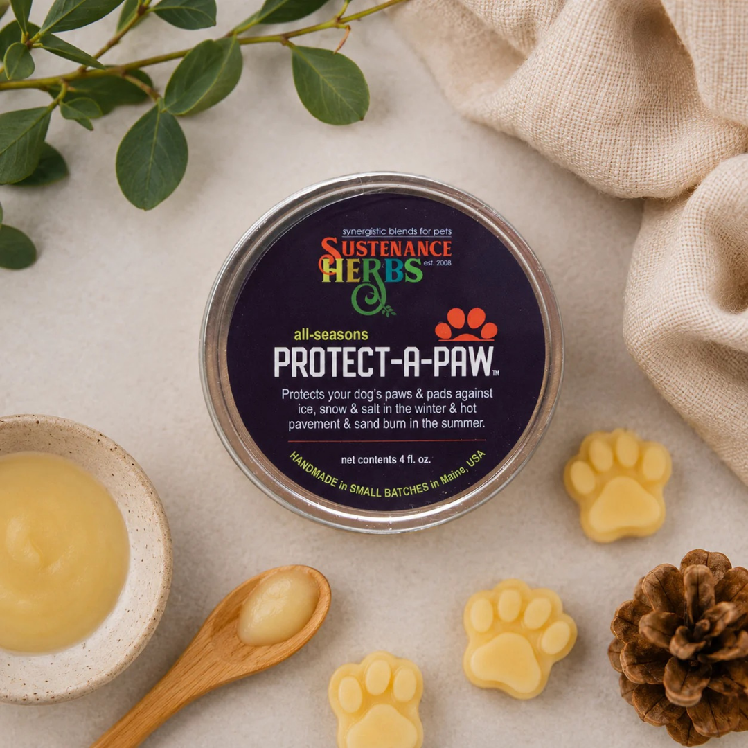 Sustenance Herbs Protect-A-Paw | Organic Healing + Protective Paw Balm