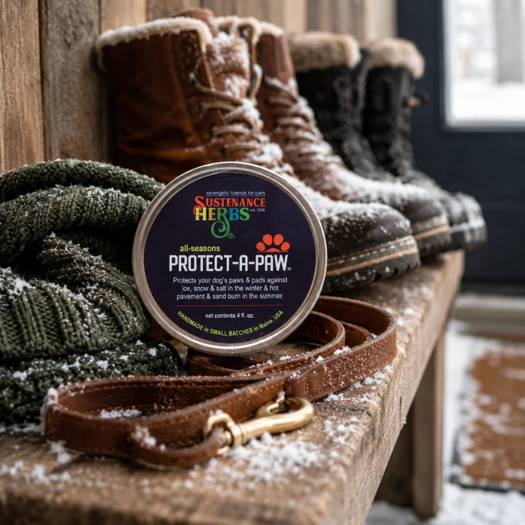 Sustenance Herbs Protect-A-Paw | Organic Healing + Protective Paw Balm