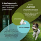 Rooted Owl Joint & Muscle Health | Natural UC-II Collagen