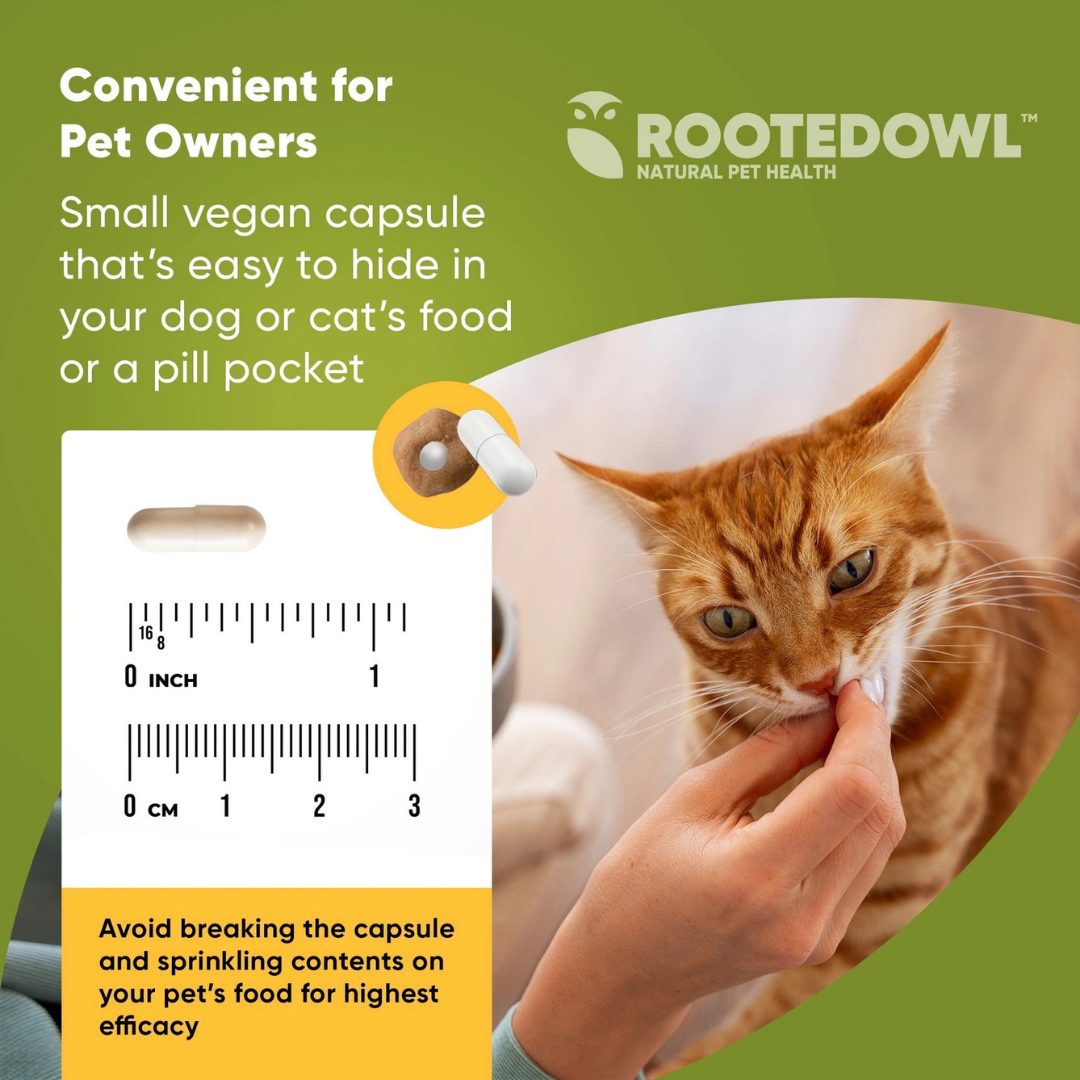 Rooted Owl Joint & Muscle Health | Natural UC-II Collagen