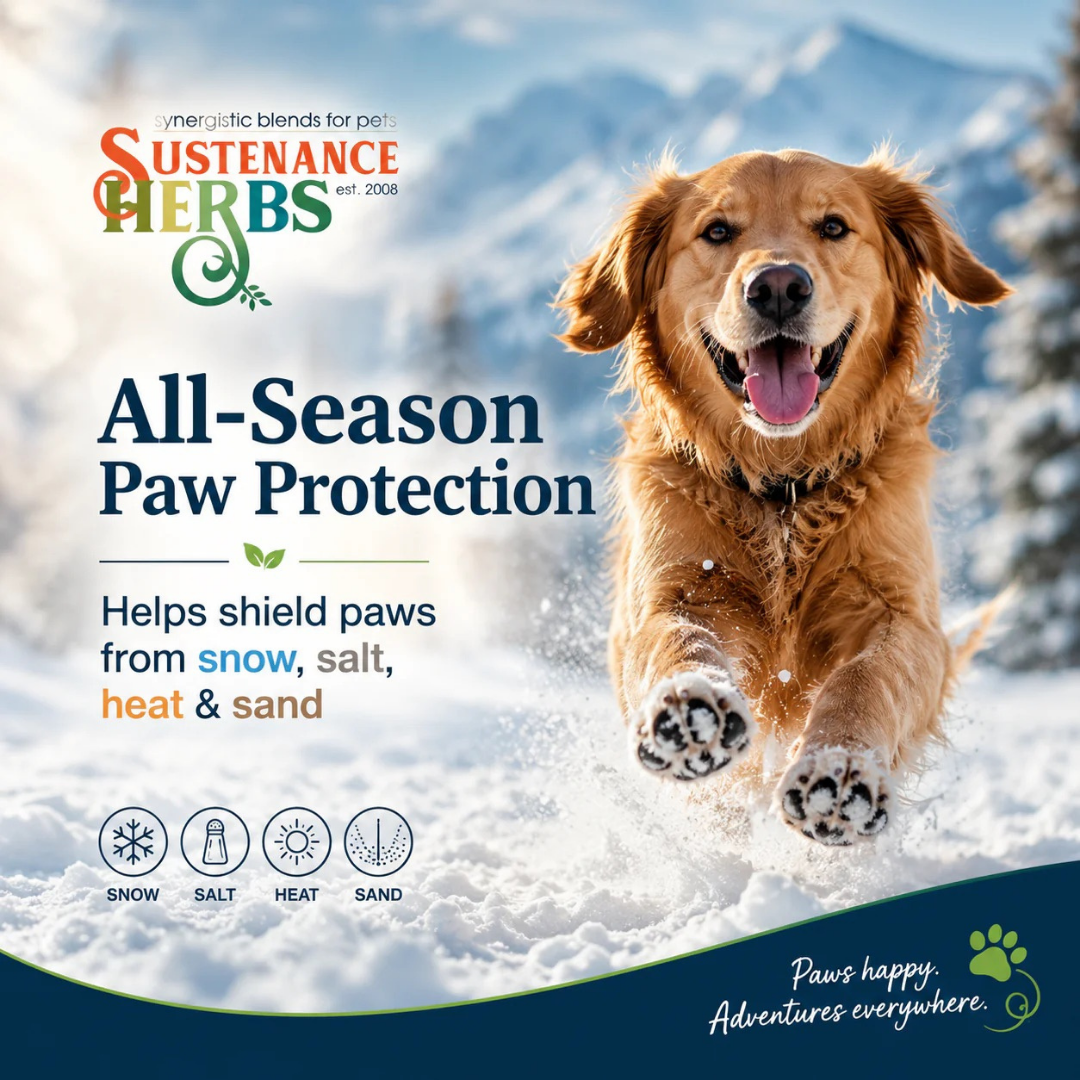 Sustenance Herbs Protect-A-Paw | Organic Healing + Protective Paw Balm