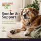 Sustenance Herbs Protect-A-Paw | Organic Healing + Protective Paw Balm