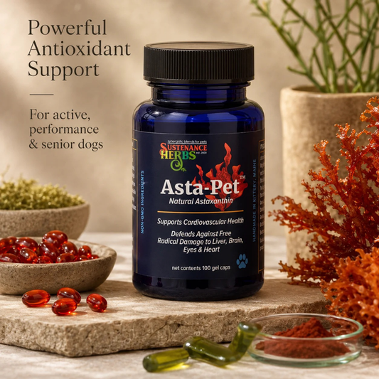 Asta-Pet | Natural Astaxanthin Antioxidant Support