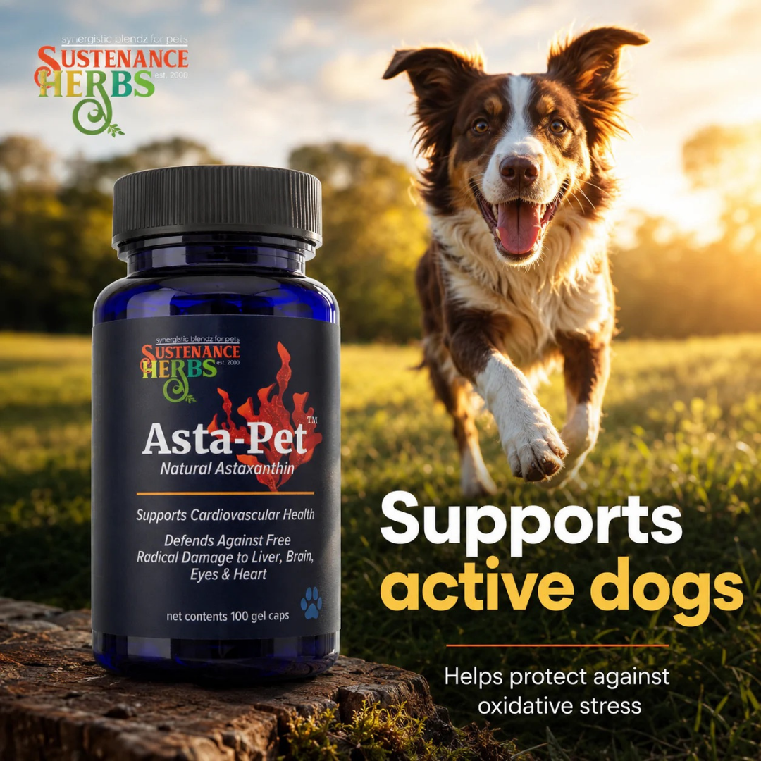 Sustenance Herbs Asta-Pet | Natural Astaxanthin Antioxidant Support
