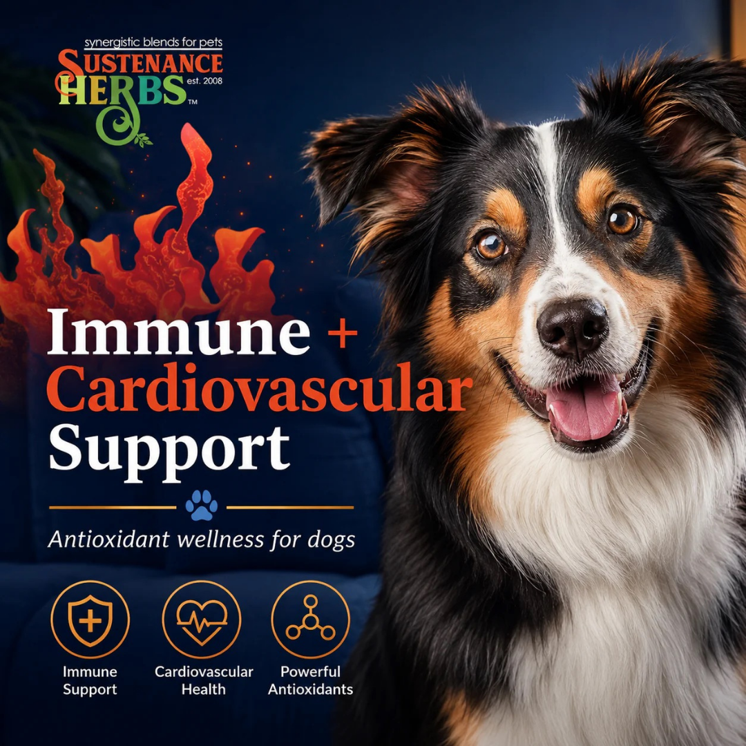 Sustenance Herbs Asta-Pet | Natural Astaxanthin Antioxidant Support